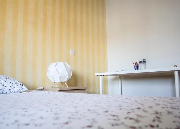 Amazing Amial * 波尔图